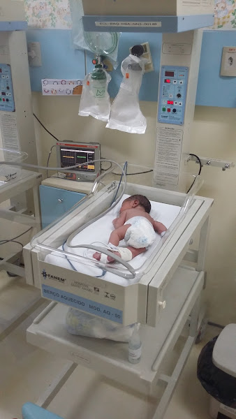 Foto 3 Fundação José Silveira