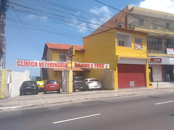 Vet Prime Clinica Veterinária