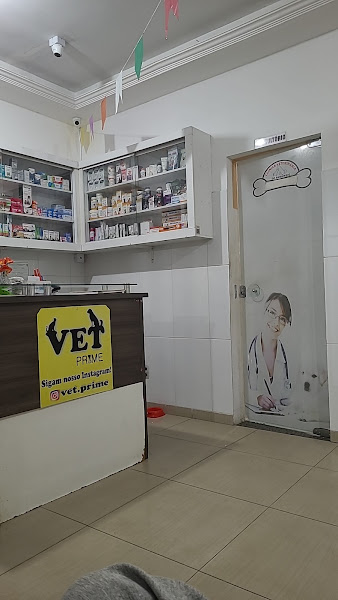 Foto 1 Vet Prime Clinica Veterinária