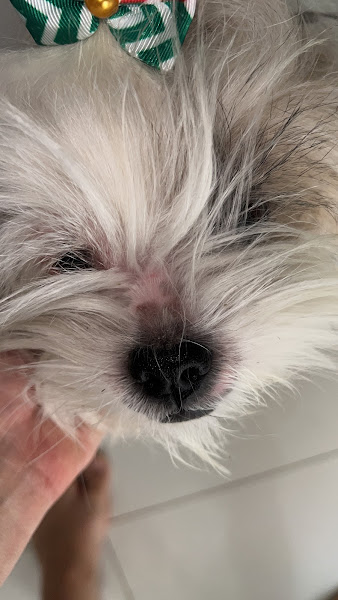 Foto 2 AMA Clínica Veterinaria