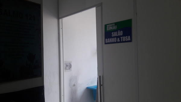 Foto 4 Êta Bicho Pau da Lima