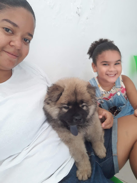 Cantinho Animal Brotas