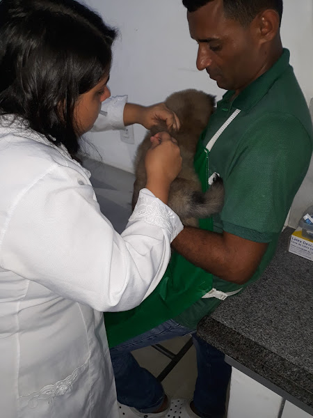 Foto 1 Cantinho Animal Brotas