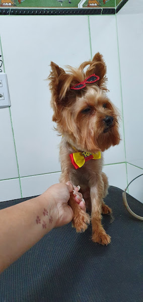 Foto 3 VIDAVET - Consultório Veterinário e Banho e tosa.