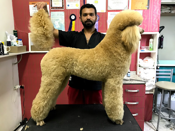 Foto 4 Pet Hauer Pet Shop