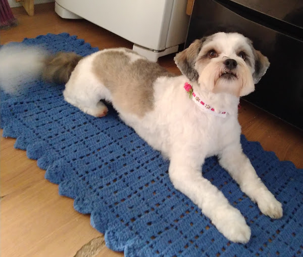 Totó e Trololó Pet Shop e Consultório Veterinário