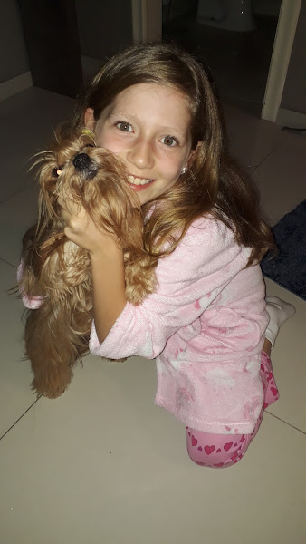 Foto 4 Totó e Trololó Pet Shop e Consultório Veterinário