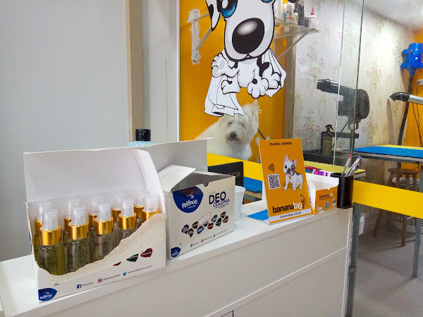 Foto 3 Curitiba Pet Store