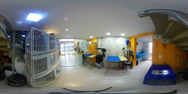 Foto 6 Curitiba Pet Store Foto 6 Curitiba Pet Store