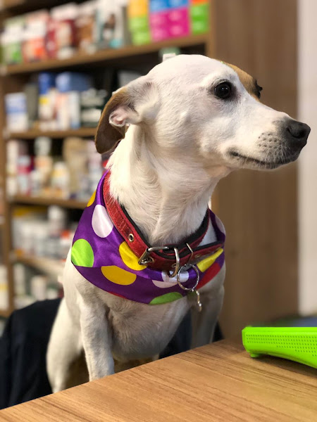 Foto 4 AuStreet Pet Shop