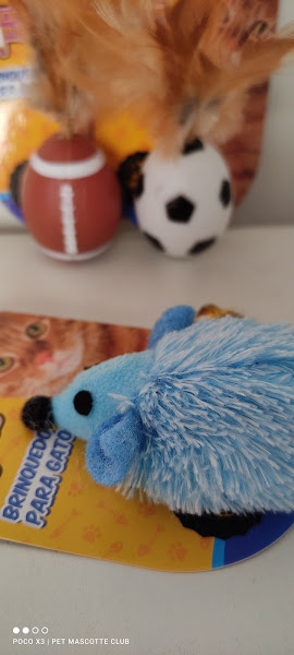 Foto 1 Pet Shop Pet Mascotte