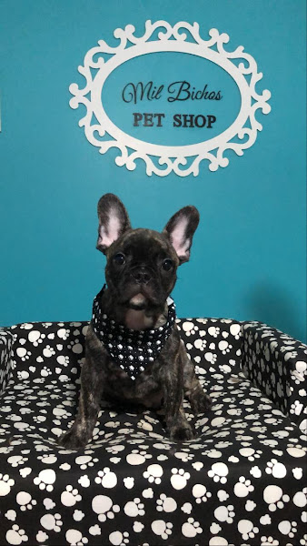 Foto 1 Mil Bichos Pet Shop Curitiba