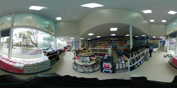 Foto 1 Snow Dog Filhotes - Unidade Portão - Filhotes Em Curitiba