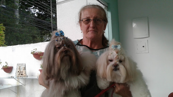 Foto 4 Pet shop Hulk