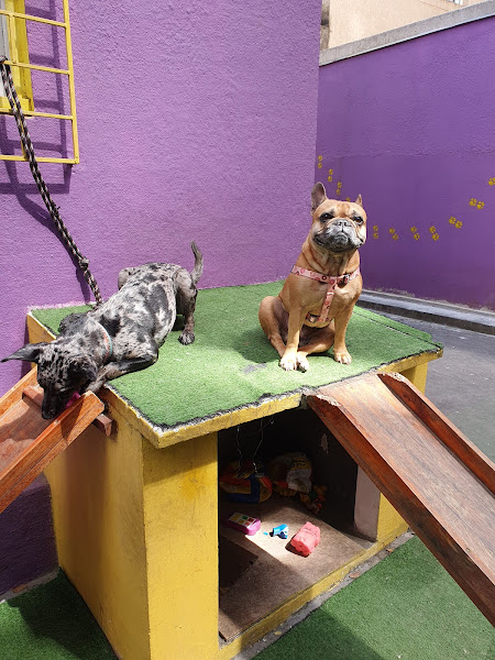 Foto 4 Valli Vet Pet Shop