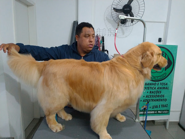 Foto 2 BePet - Pet Shop