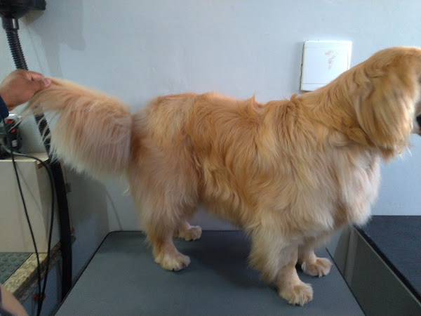 Foto 3 BePet - Pet Shop