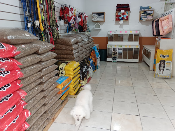 Foto 1 Tchutchucão Pet Shop