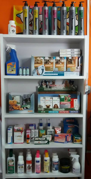 Foto 1 Pet Shop Mundo Mascote