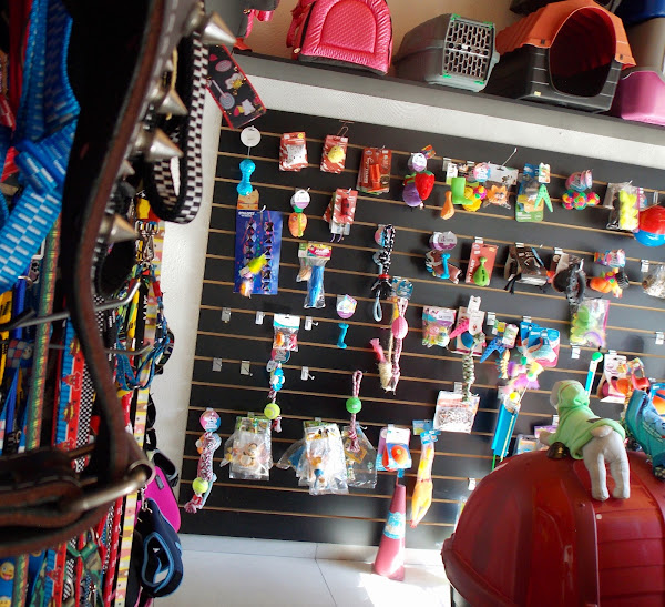 Foto 3 Pet Shop Mundo Mascote