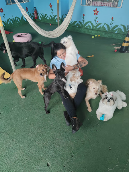 Foto 3 Pet shop Tosa & Arte