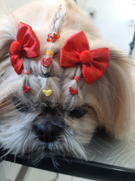 Foto 1 Pet Shop Paparicando