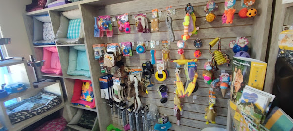 Foto 2 Pet Shop Solidário