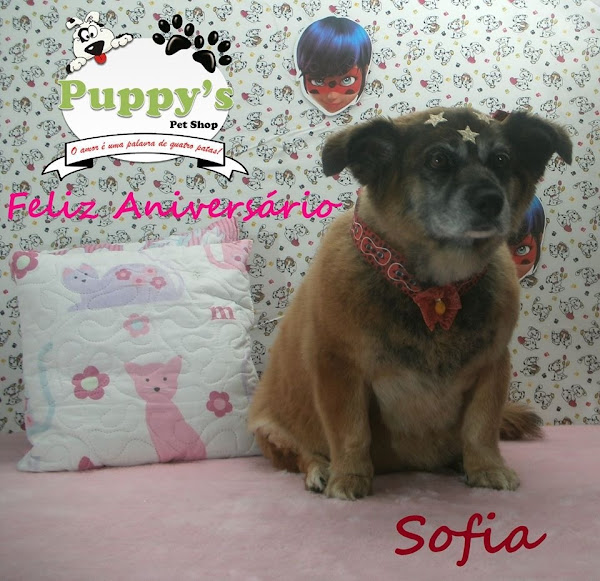 Foto 1 Puppy's Pet Shop