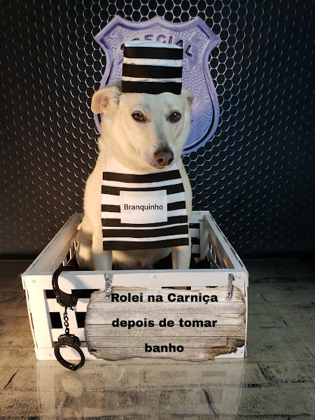 Foto 4 Pet Shop Mon Petit