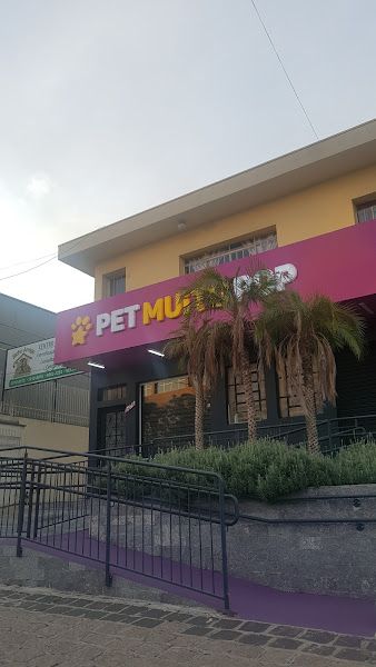 Pet Muito Pop
