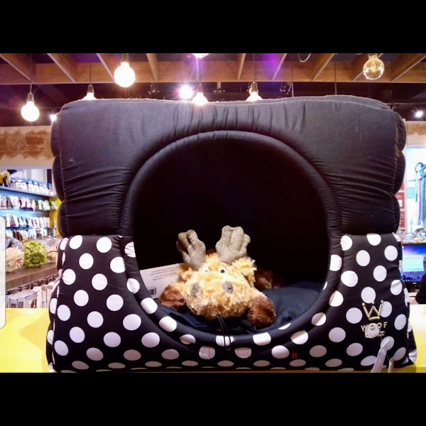 Foto 2 Pet Muito Pop