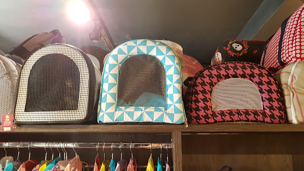 Foto 3 Pet Muito Pop