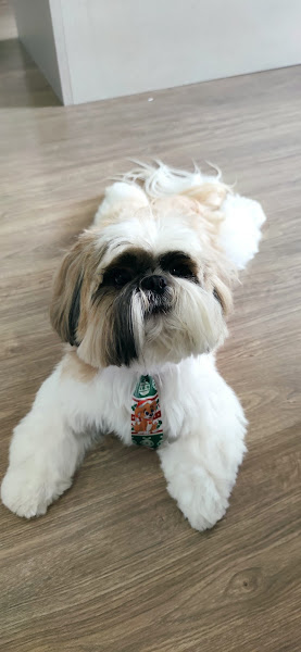 Foto 4 Alecrim Pet Store