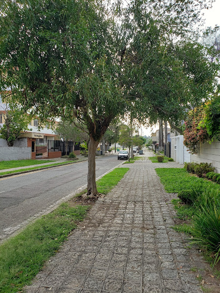 Foto 6 Puppy Stop Pet Shop