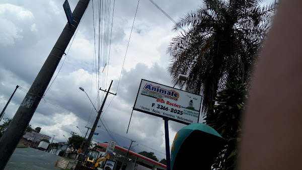 Foto 3 Animale Pet Shop