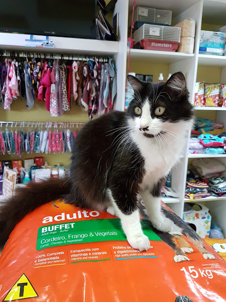 Foto 2 Patinhas Pet Boutique