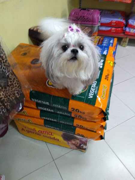 Foto 4 Patinhas Pet Boutique