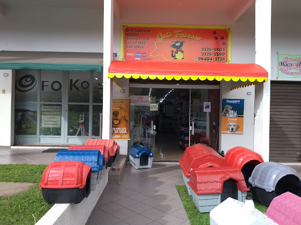 Pet Shop Gato Travesso