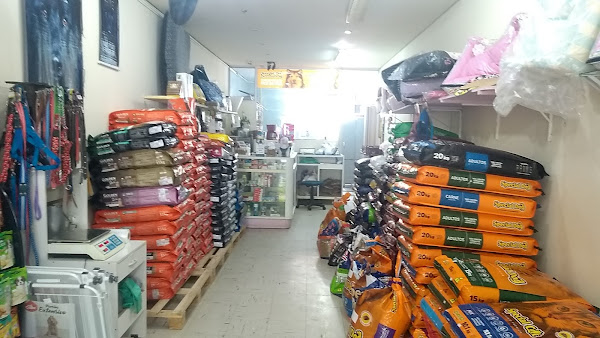 Foto 1 Pet Shop Gato Travesso