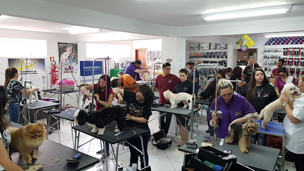 Foto 5 Hansen Equipamentos para Banho e Tosa / Petshop