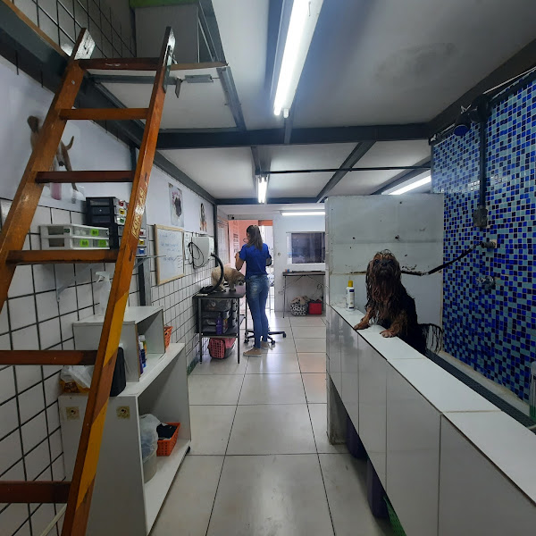 Foto 2 Pet Shop Amicão