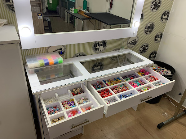 Foto 1 Buddy Lord - Pet Shop