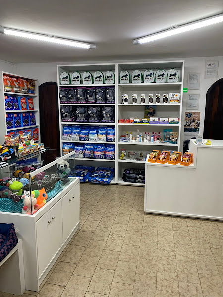 Foto 2 Buddy Lord - Pet Shop