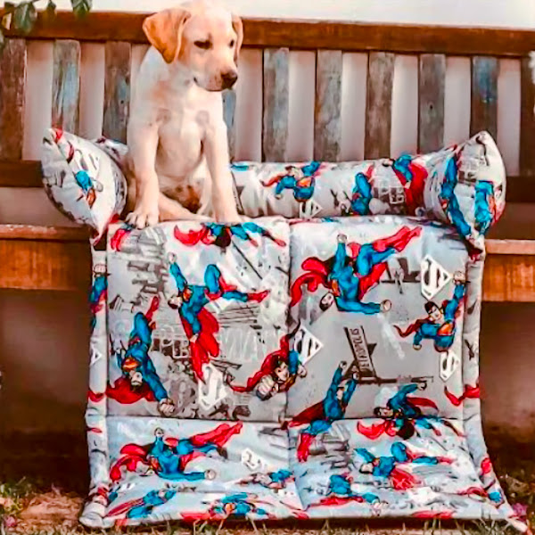 Foto 2 Lucky Pet Produtos para Pet Shop Acessorios para Animais, Cães e Gatos