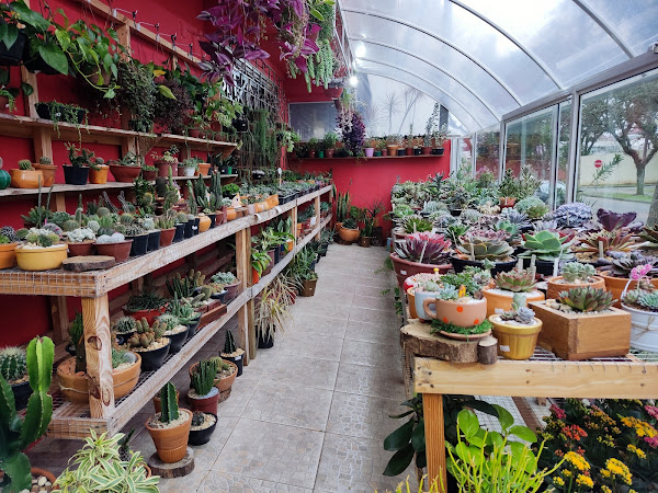 Foto 1 pepo e nina Pet Garden