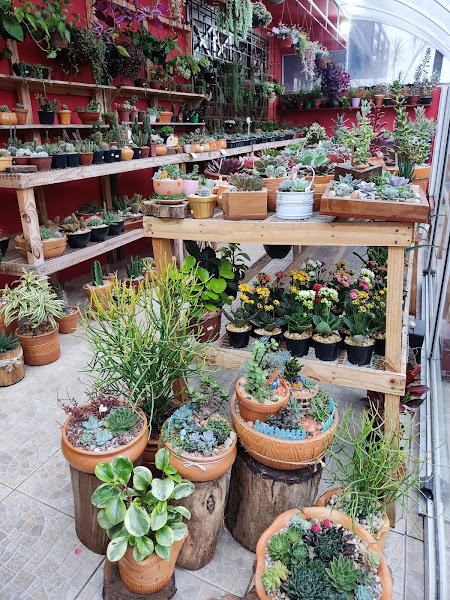 Foto 2 pepo e nina Pet Garden