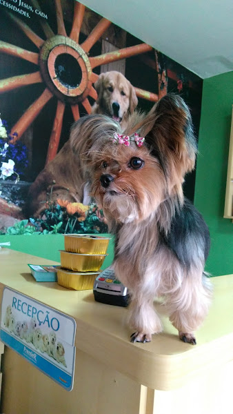 Foto 4 pepo e nina Pet Garden