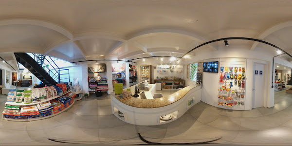 Foto 1 Essência do Cão