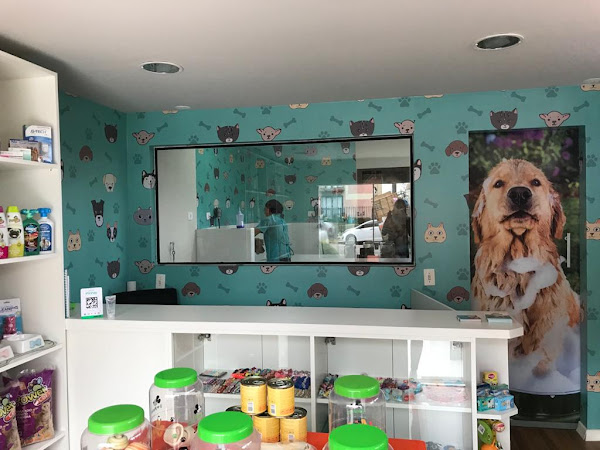 Foto 3 Patinhas de Anjos Pet Shop