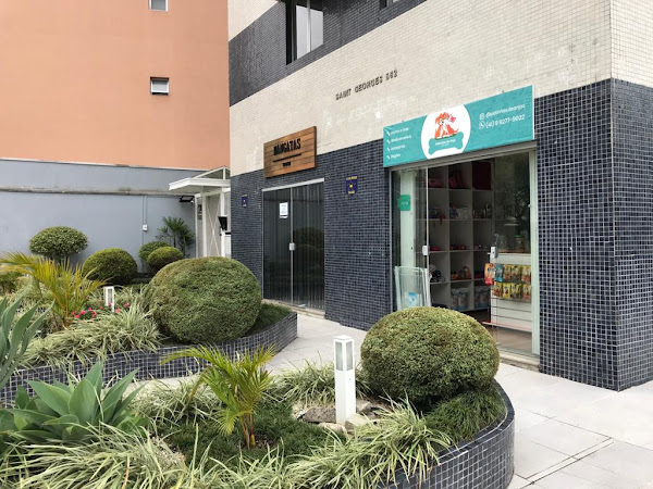 Foto 4 Patinhas de Anjos Pet Shop